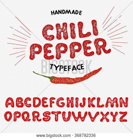 Vintage Font Design, Handwritten Alphabet. Vector Illustration. Typeface Chili Pepper . Vector Illus