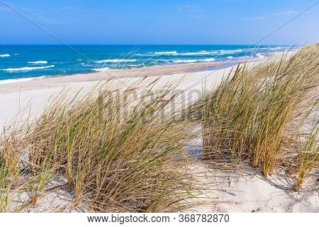 Beautiful Sand Beach With Dry And Green Grass, Reeds, Stalks Blowing In The Wind, Blue Sea With Wave