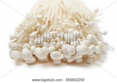 Cluster of fresh cultivated white enokii mushrooms close up isolated on white background