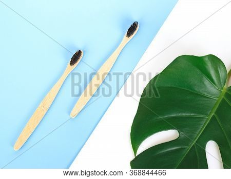The Concept Of Zero Waste. Bamboo Toothbrush On A Manstera Leaf