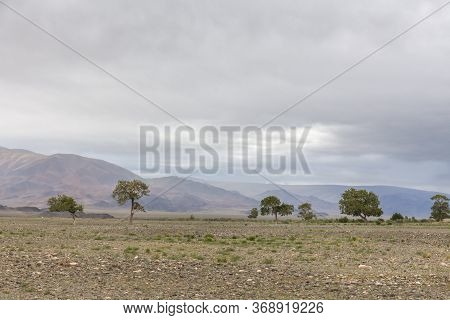 Mongolia Landscape. Altai Tavan Bogd National Park In Bayar-ulgii