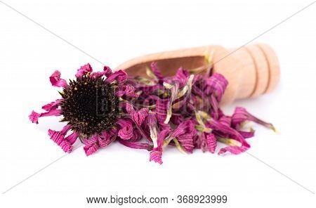 Dried Echinacea Flowers On Wooden Spoon, Isolated On White Background. Petals Of Echinacea Purpurea.