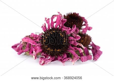 Dried Echinacea Flowers, Isolated On White Background. Petals Of Echinacea Purpurea. Medicinal Herbs