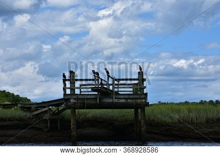 Tidal Marsh With Silhouetted Birds Sitting On A Pier.