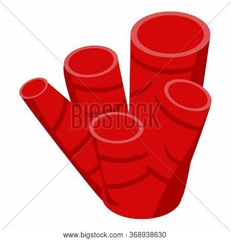 Kelp Coral Icon. Isometric Of Kelp Coral Vector Icon For Web Design Isolated On White Background