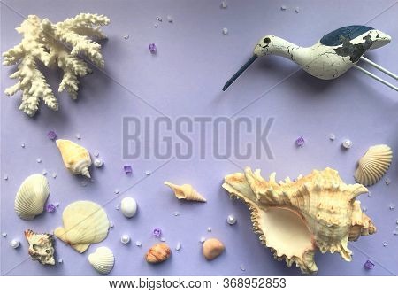Small Shells, Pebbles And A Large Shell At The Bottom, Scattered White And Purple Crystals, On Top -
