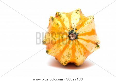 Cucurbit In Yellow And Orange