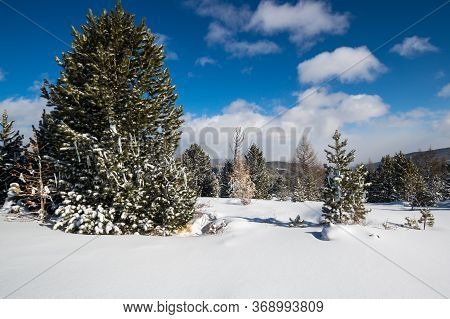View Of Ulagan Highlands In Altay Mountains In The Winter, Siberia, Russia