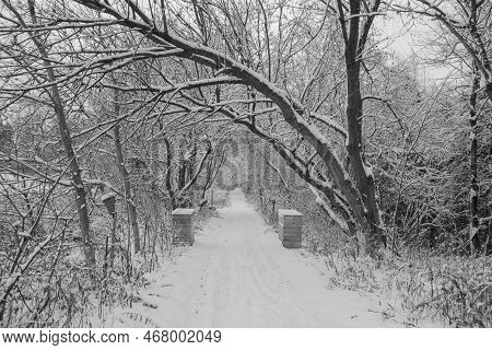 Nice Winter Landscape In The Estrie Region Of Quebec, Canada