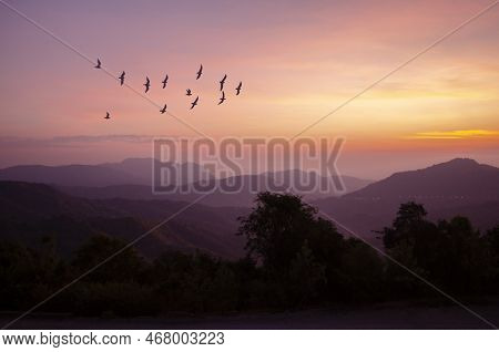Silhouette Flying Birds In Morning Light Over The Mountains And Valleys