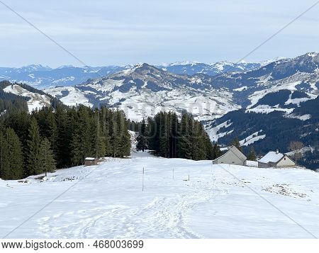 Late Autumn Atmosphe With The First Snow On The Mixed Trees In The Alpine Area Of The Alpstein Mount
