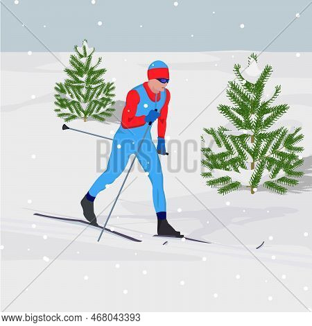 Winter Landscape. A Man On Skis, Spruce, Against The Backdrop Of Snowfall. Winter Sports. Rest At Na