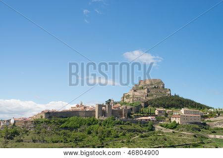 Morella