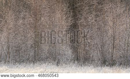 Beautiful Wintry Landscape Image Of Forest In English Countryside Covered In Hoarfrost