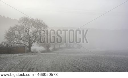 Beautiful Winter Landscape In English Countryside At Dawn With Thick Fog Hiding Farm Buildings Acros