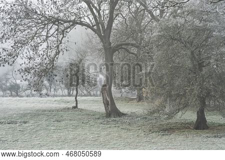 Beautiful Wintry Landscape Image Of Forest In English Countryside Covered In Hoarfrost