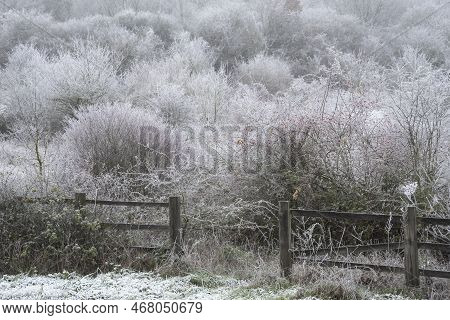 Beautiful Wintry Landscape Image Of Forest In English Countryside Covered In Hoarfrost