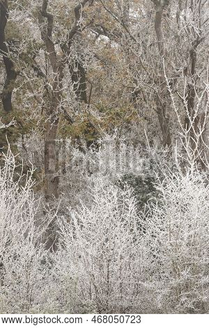 Beautiful Wintry Landscape Image Of Forest In English Countryside Covered In Hoarfrost