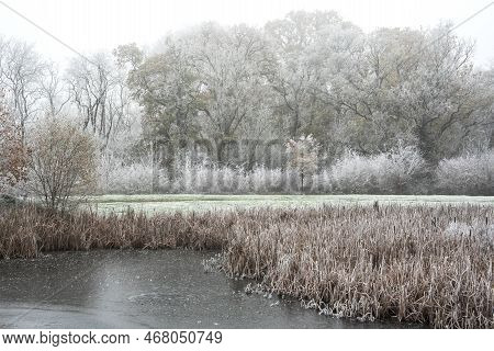 Beautiful Winter Landscape Image Of Small Lake In Front Of Forest Covered In Hoarfrost At Dawn