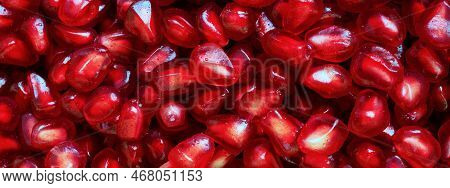 Banner Of Red Background Of Grain Red Grenades. Big Ripe Red Granets Or Garnets. Fruits Of Red Ripe 