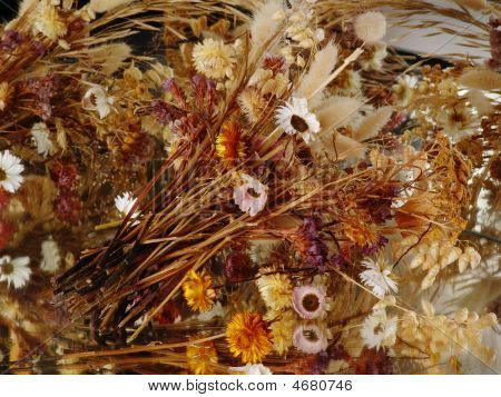 Arrangement Of Flowers