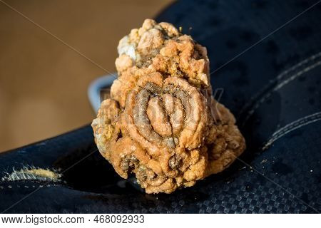 A Bizarre Chalcedony Nodule Resembling A Female Organ, Rockhounding