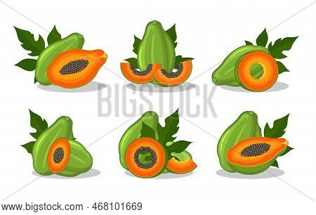 Papaya Designs. Cartoon Sweet Papayas Fruits And Leaves Emblem Elements, Ripe Juicy Half Whole Slice