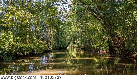 Boat Trip On An Inner Canal In The Marais Poitevin