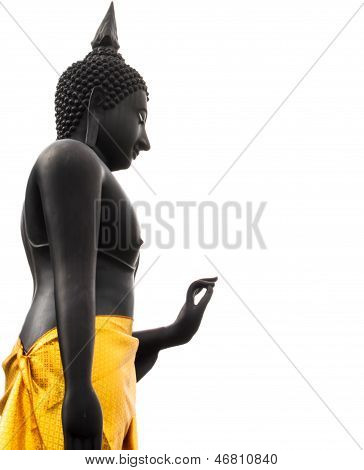 Musta budhha
