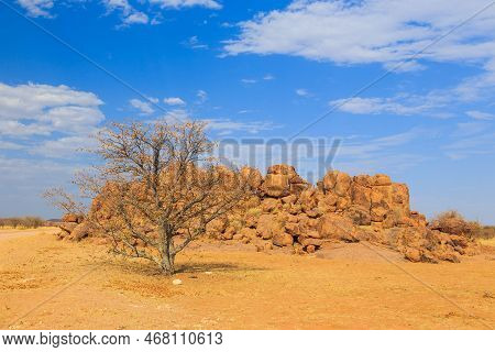 Namibian Landscape, Red Ground And African Vegetation Around. Damaraland, Homelands In South West Af