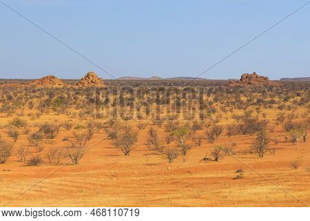 Namibian Landscape, Red Ground And African Vegetation Around. Damaraland, Homelands In South West Af