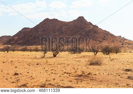 Namibian Landscape, Red Ground And African Vegetation Around. Damaraland, Homelands In South West Af
