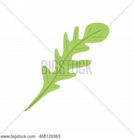 Ruccola Icon Flat Vector. Arugula Salad. Rucola Leaf Isolated