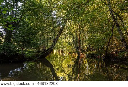 Boat Trip On An Inner Canal In The Marais Poitevin