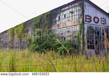 Abandoned And Run Down Orange Factory Covered In Vines And Foliage In Florida