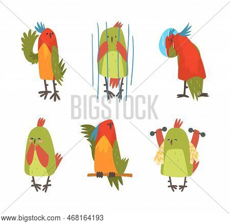 Set Of Parrot Birds. Bright Parrot Pet Character In Everyday Activities Cartoon Vector Illustration