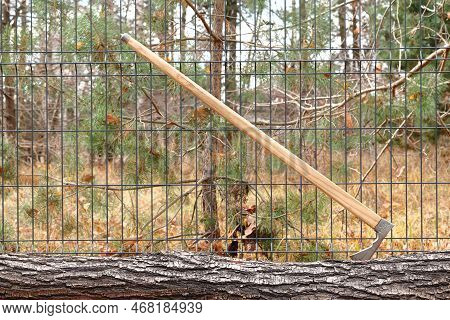 Highlander's Ax Stuck In A Tree Trunk
