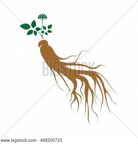 Ginseng Logo Design Template And Symbol Icon