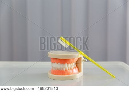 Clean Teeth Dental Jaw Model And Yellow Thooth Brush On Gray Background.