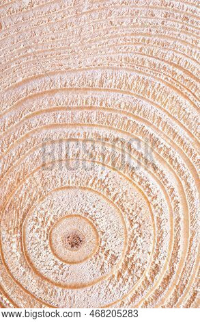 Center Of A Dried Spruce Trunk, Horizontal Cut, Showing The Growth Rings. European Spruce Tree, Pice