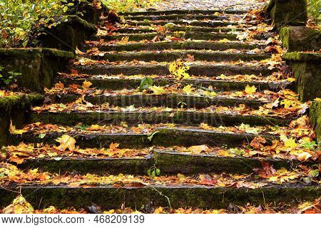 Old Stone Staircase On The Eco-trail Komarovsky Bereg. Saint Petersburg. Russia