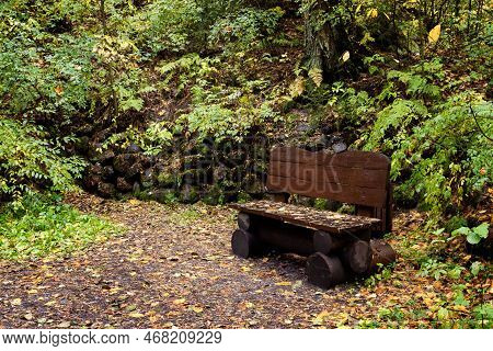 Bench On The Trail For Relaxation. Eco-trail Komarovsky Bereg. Saint Petersburg. Russia