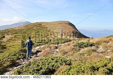 Carpathian Mountains, Ukraine - October 8, 2022 Mount Hoverla. Carpathians In Ukraine In Autumn. Tou