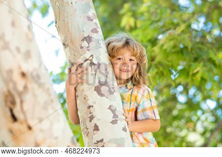 Child Hugging A Tree Branch. Little Boy Kid On A Tree Branch. Kid Climbs A Tree. Active Kid Playing 