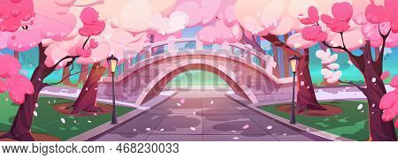 Urban Park Lane With Bridge Under Blooming Sakura Trees. Cartoon Vector Illustration Of Cherry Bloss