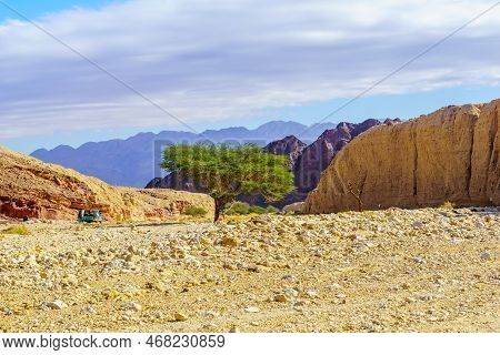 Winter View Of Desert Landscape In The Shkhoret Canyon, Massive Eilat Nature Reserve, Southern Israe