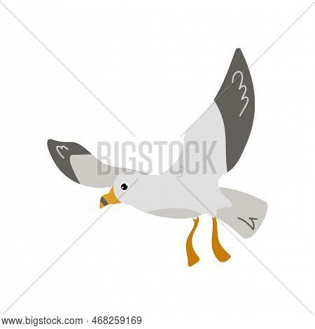 Seagull Or Albatross Flying Cartoon Character Flat Vector Illustration. Cute Comic Gull, Atlantic Bi