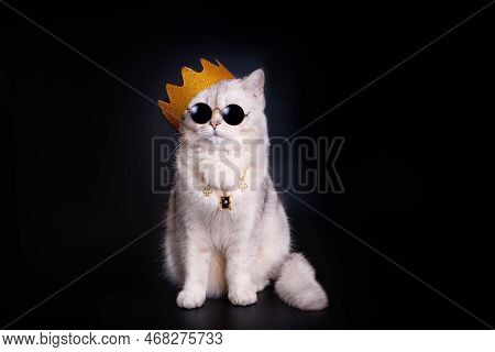 A White King Cat Wearing A Golden Crown Sits On An Isolated Black Background.