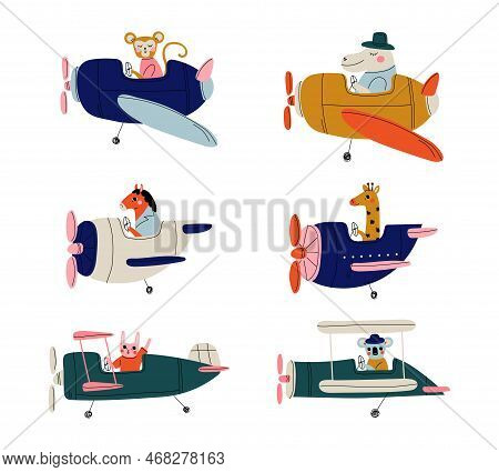 Cute Animals Pilots Flying On Airplanes Set. Monkey, Hippo, Horse, Giraffe, Bunny, Koala, Piloting R