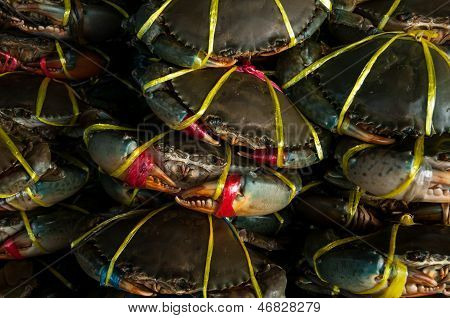 krab